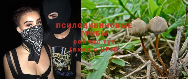 марки nbome Пролетарск