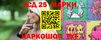 шишки Ставрополь