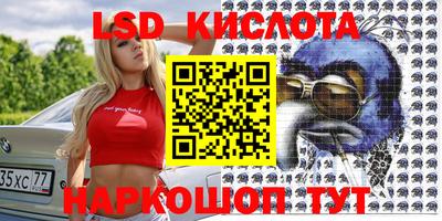 шишки Ставрополь