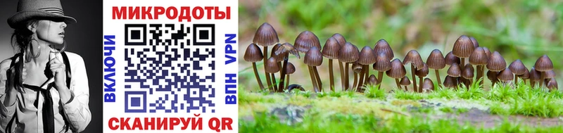 купить  сайты  Уварово  Галлюциногенные грибы MAGIC MUSHROOMS 