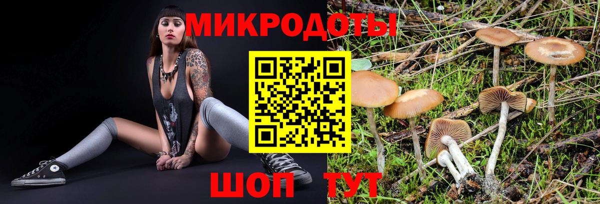 Уварово  Галлюциногенные грибы мухоморы  даркнет сайт  Псилоцибиновые грибы Cubensis  Вход с VPN 